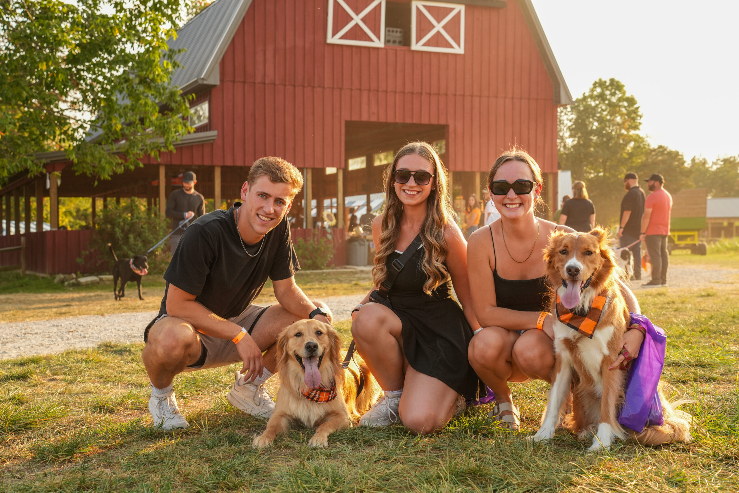 dogs and people at a farm during a special fall dog event