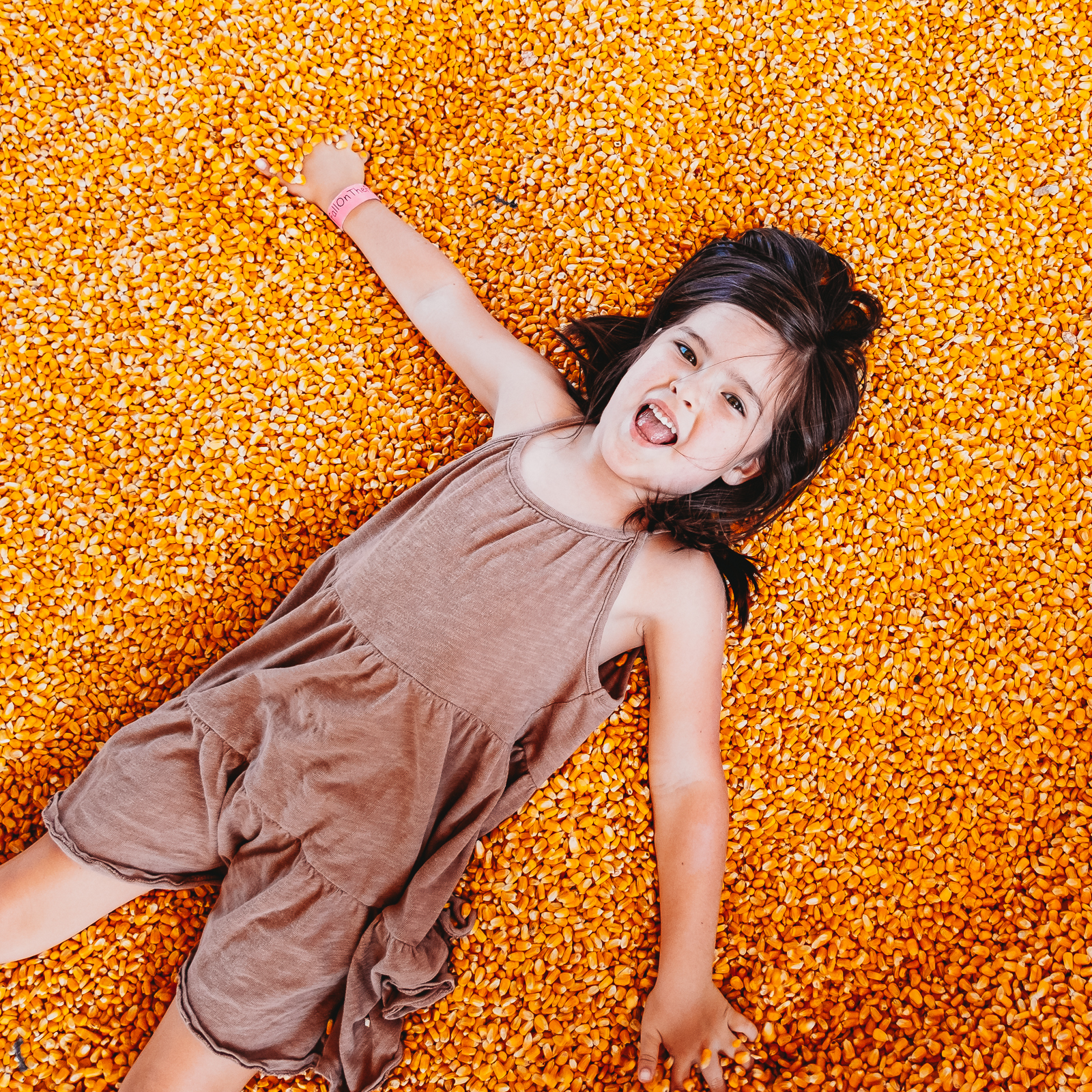 @ohhappyrobertsons10 (1) (1) corn