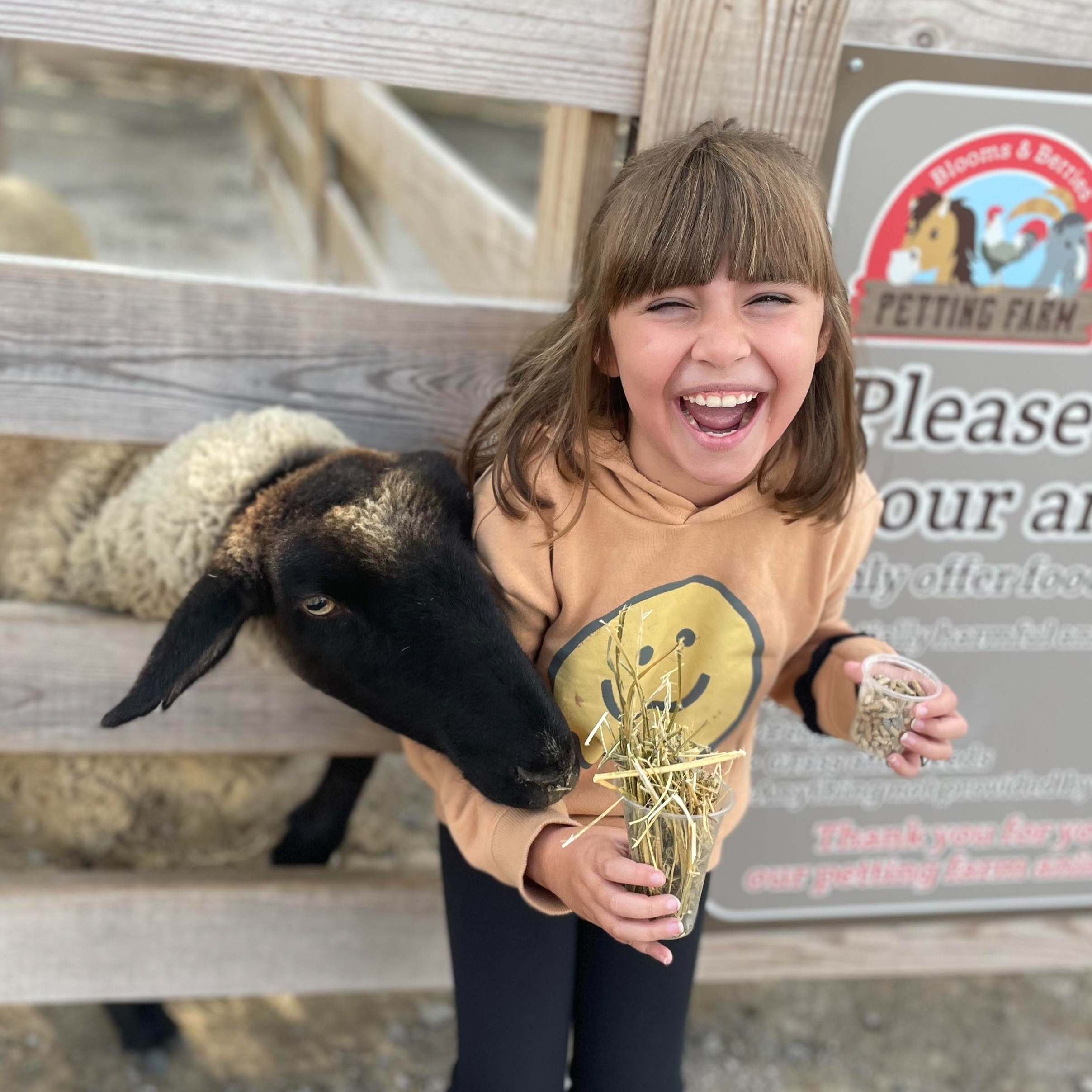 Adalee09 (1) girl with petting farm, sheeo