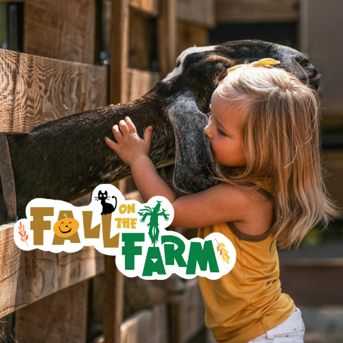 Family Fun at Pumpkin Patch | Fall on the Farm in Loveland, Ohio
