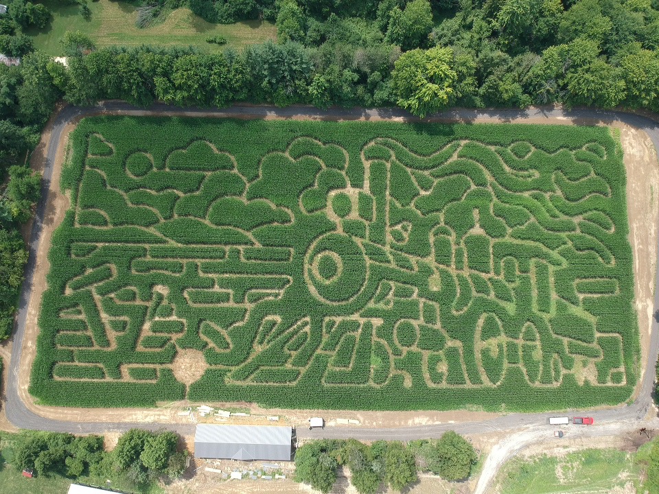 Corn Maze 2025 (1)