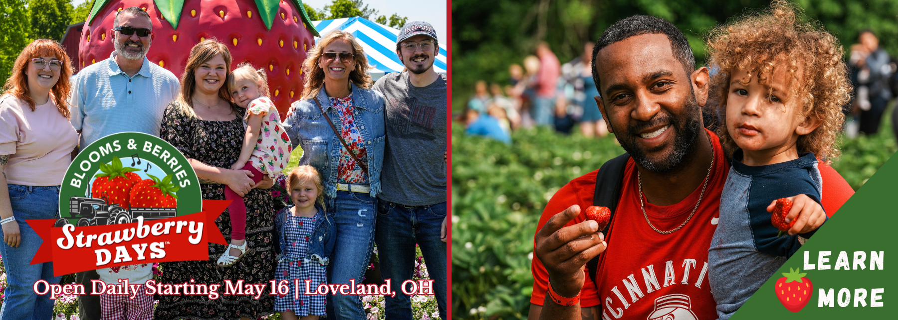 strawberry days header with happy people picking strawberries